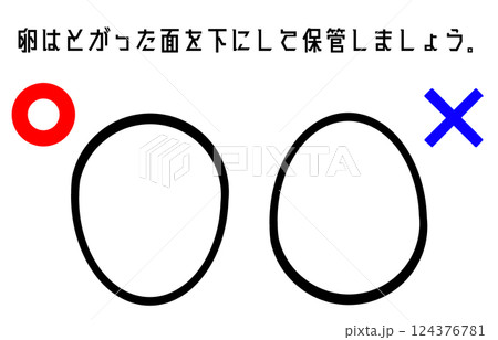 卵の保存方法の説明・注意書き 124376781