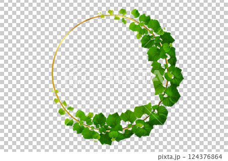vine frame leaf vine circle Isolate on transparent background PNG file vine frame leaf vine circle Isolate on transparent background PNG file 124376864