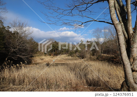 晴れた日 124376951