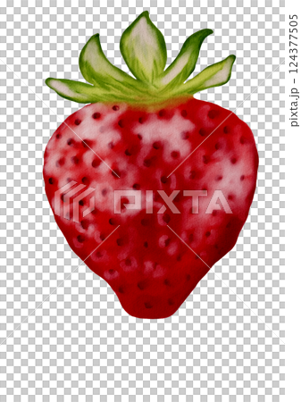 Beautiful watercolor strawberry design for textile and packaging use in print patterns Beautiful watercolor strawberry design for textile and packaging use in print patterns 124377505