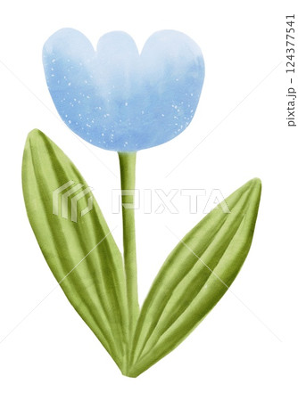 Colorful watercolor tulip with green leaves in a serene floral design 124377541