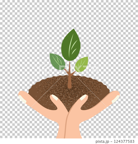 手中植物的插圖 手中植物的插圖 124377583