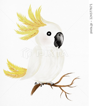 Colorful parrot illustration in watercolor style with vibrant details and natural elements 124377671
