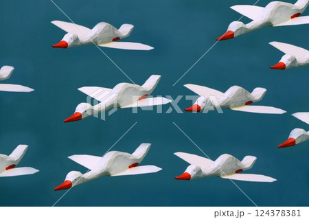 flock of white geese in flight flock of white geese in flight 124378381