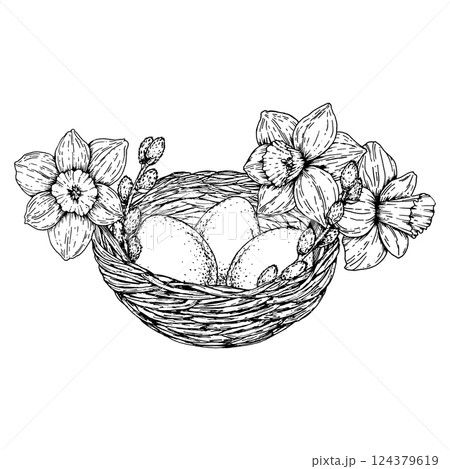 Hand drawn Easter nest with eggs, blooming daffodils and willow branches. Spring botanical black and white illustration for cards, holiday design, packaging, crafts, and seasonal decoration. Hand drawn Easter nest with eggs, blooming daffodils and willow branches. Spring botanical black and white illustration for cards, holiday design, packaging, crafts, and seasonal decoration. 124379619