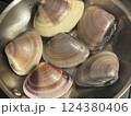 フライパンに並べられた蛤 124380406