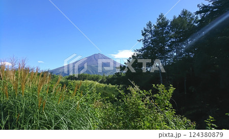 夏の大きく広い青空から日光が差し込む中ススキや 夏の草や木々の奥の中央に鎮座する富士山 124380879