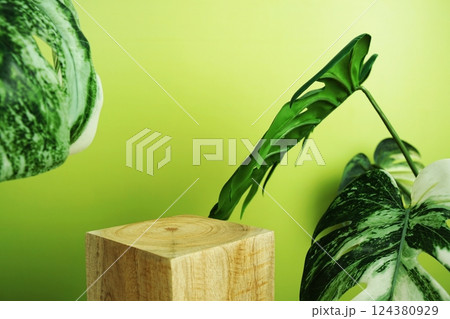 Wooden podium display scene stage showcase front view with copy space and monstera leaves decoration on green background 124380929