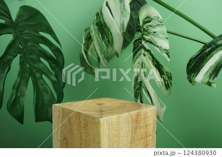 Wooden podium display scene stage showcase front view with copy space and monstera leaves decoration on green background 124380930