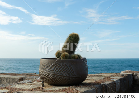 Potted cactus with Mediterranean Sea, coastal cliff, and clear sky in the background. Potted cactus with Mediterranean Sea, coastal cliff, and clear sky in the background. 124381400