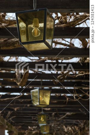 Vintage Lanterns Hanging from a Wooden Pergola, Covered with Old Grape Vines Vintage Lanterns Hanging from a Wooden Pergola, Covered with Old Grape Vines 124381413