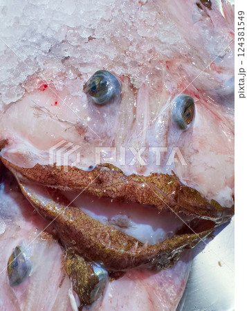 Fresh monkfish on ice at seafood market  124381549