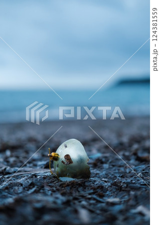 Broken Christmas Tree Ornament Washed Ashore by the Sea, Polluting the Beach Broken Christmas Tree Ornament Washed Ashore by the Sea, Polluting the Beach 124381559