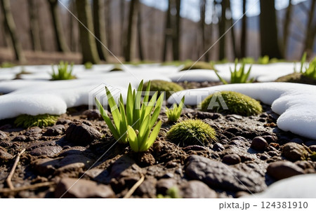 早春の自然と生命の息吹 124381910