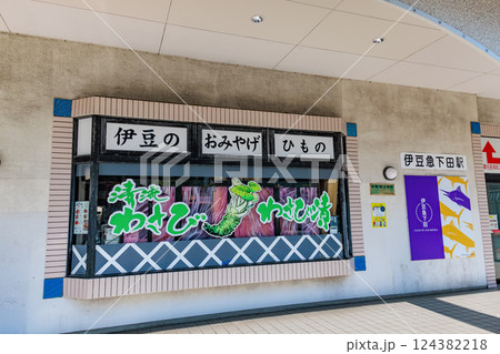 静岡県 下田市 伊豆急下田駅 静岡県 下田市 伊豆急下田駅 124382218