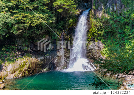 静岡県　河津町　河津七滝　大滝 124382224