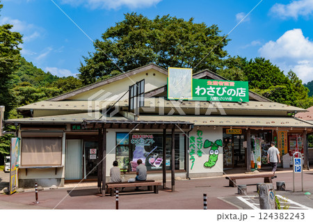静岡県　伊豆市　道の駅 天城越え（天城わさびの里） 124382243