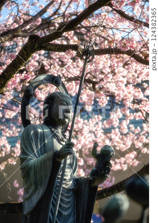 埼玉県　密蔵院の桜風景 124382365