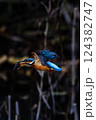 カワセミの飛翔 124382747