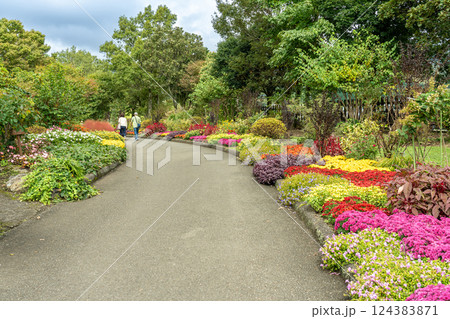 大分県竹田市 秋のくじゅう花公園の園内の散策路を歩く観光客 大分県竹田市 秋のくじゅう花公園の園内の散策路を歩く観光客 124383871