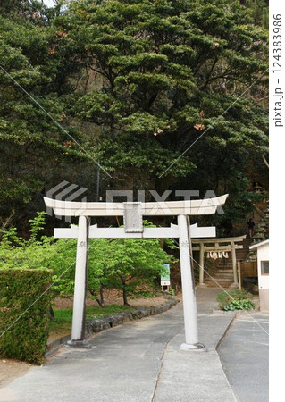 【松崎町 富士箱根伊豆国立公園 雲見温泉「雲見浅間神社」参道と鳥居】 【松崎町 富士箱根伊豆国立公園 雲見温泉「雲見浅間神社」参道と鳥居】 124383986