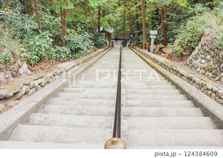 袋井市にある新緑に包まれた油山寺の階段の風景(静岡県) 124384609
