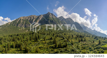 Panoramic View of Majestic Mountain Range and Verdant Valley 124384643