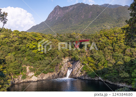 世界自然遺産モッチョム岳とトローキの滝　屋久島(春 124384680