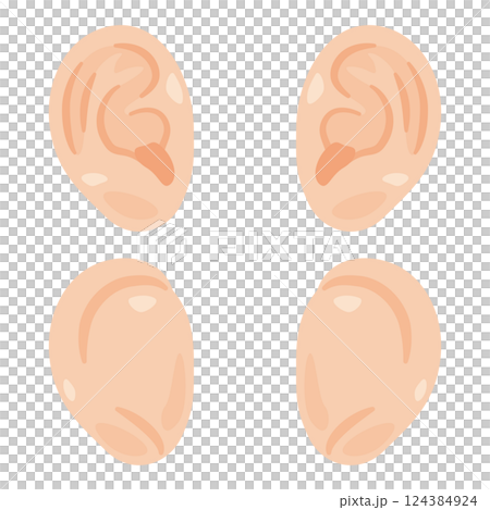 耳のイラストセット 124384924