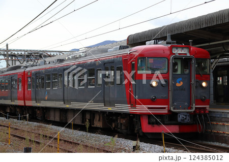 しなの鉄道115系電車（3両編成：軽井沢⇔小諸） 124385012