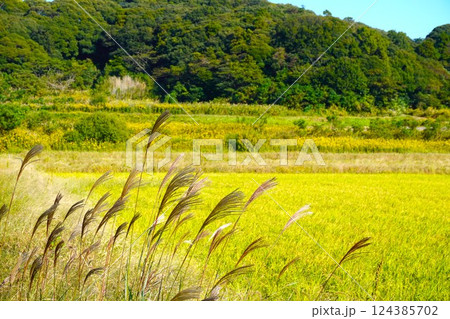 秋の風景 秋の風景 124385702