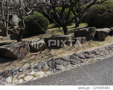 参道 参道 124385801