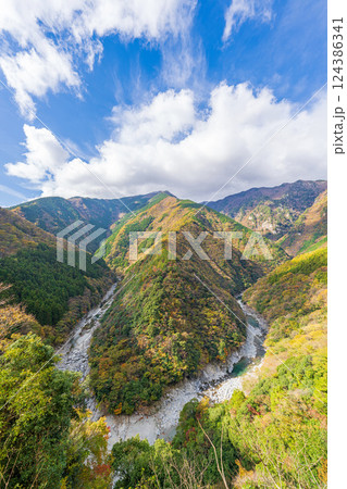 【徳島】ひの字渓谷【秋】 124386341