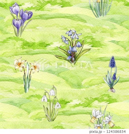 Springtime floral seamless pattern decor element watercolor illustration. Hand drawn primrose spring garden flowers, daffodils, snowdrop, crocus, muscari on green lush grassy ground seamless pattern 124386834