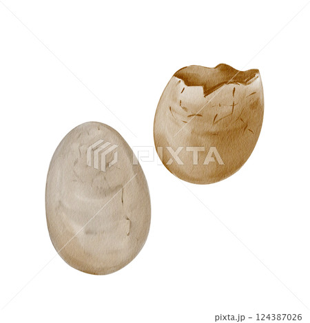 Dinosaur eggs. Prehistoric fossils. Whole egg and broken. Reptile offspring. Museum relic. Watercolor illustration isolated from background. Hand drawing. High quality illustration Dinosaur eggs. Prehistoric fossils. Whole egg and broken. Reptile offspring. Museum relic. Watercolor illustration isolated from background. Hand drawing. High quality illustration 124387026