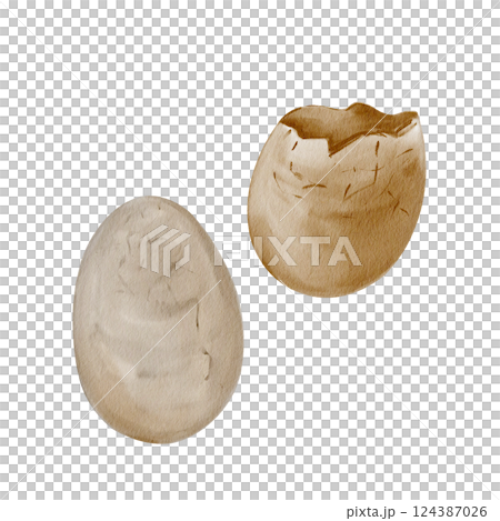 Dinosaur eggs. Prehistoric fossils. Whole egg and broken. Reptile offspring. Museum relic. Watercolor illustration isolated from background. Hand drawing. High quality illustration Dinosaur eggs. Prehistoric fossils. Whole egg and broken. Reptile offspring. Museum relic. Watercolor illustration isolated from background. Hand drawing. High quality illustration 124387026