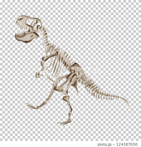 Dinosaur rex. Theranosaurus skeleton. Ancient fossil. Museum exhibit. Jurassic time. Watercolor illustration isolated from background. Hand drawing. Predator skull. Vintage. High quality illustration Dinosaur rex. Theranosaurus skeleton. Ancient fossil. Museum exhibit. Jurassic time. Watercolor illustration isolated from background. Hand drawing. Predator skull. Vintage. High quality illustration 124387030