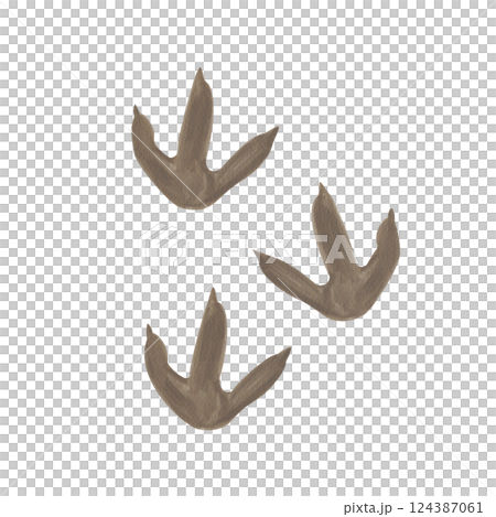 dinosaur footprints. Brown prints of predator paws. three-fingered paw. Prehistoric animal track. Watercolor illustration. Clipart. Hand drawing. High quality illustration dinosaur footprints. Brown prints of predator paws. three-fingered paw. Prehistoric animal track. Watercolor illustration. Clipart. Hand drawing. High quality illustration 124387061