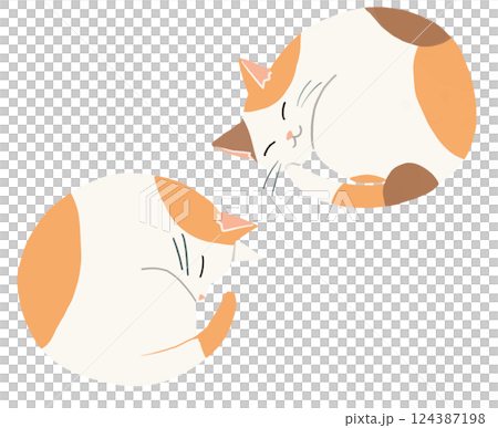 丸まって眠る　二匹の猫イラスト 124387198