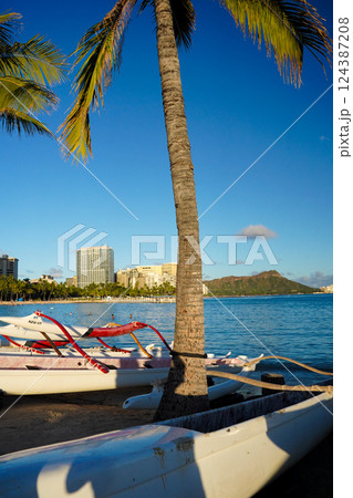 海の見える風景 124387208