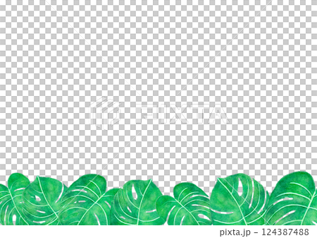 Background frame with monstera leaves on a white background Background frame with monstera leaves on a white background 124387488