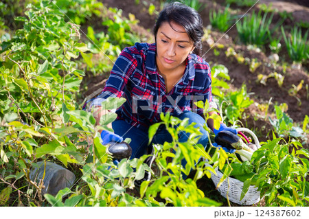 Woman in garden caring for beds 124387602