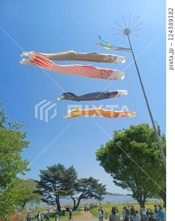 仲良く泳ぐ鯉のぼり 124389182
