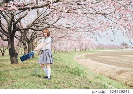 桜の下の女子高生 124389241