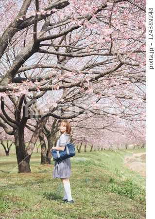 桜の下の女子高生 桜の下の女子高生 124389248