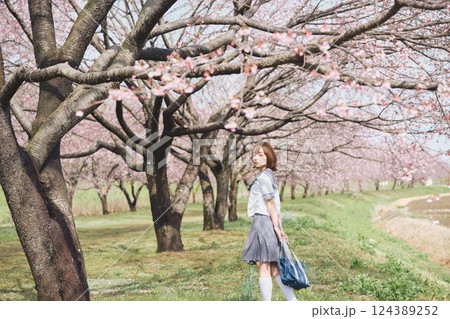 桜の下の女子高生 124389252