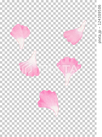 Hand-drawn illustration of carnation petal. Hand-drawn illustration of carnation petal. 124389586