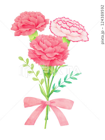 Hand-drawn illustration of carnation flower. 124389592