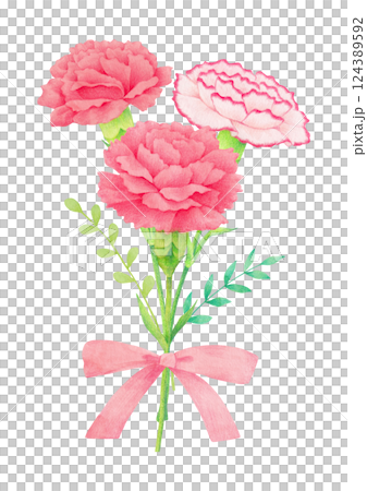 Hand-drawn illustration of carnation flower. 124389592