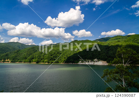 飛騨高山 荘川 御母衣ダム 夏 7月 飛騨高山 荘川 御母衣ダム 夏 7月 124390087